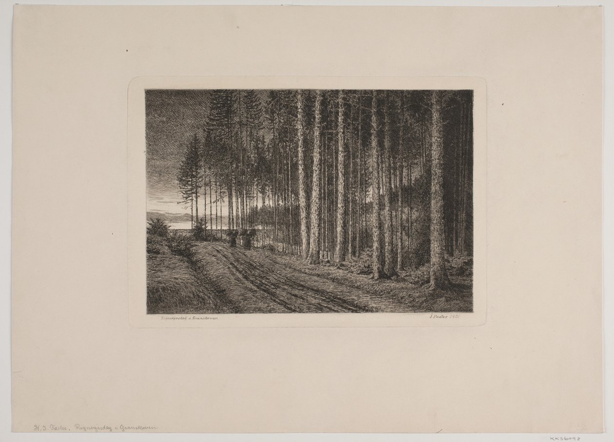 Dia chuvoso na floresta de abetos de Hans Julius Fæster