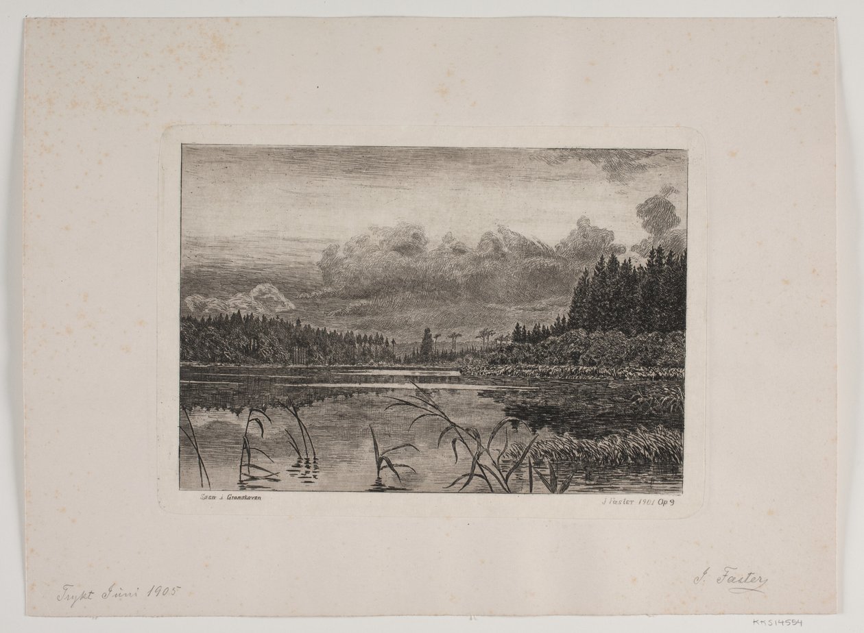O lago na floresta de abetos de Hans Julius Fæster
