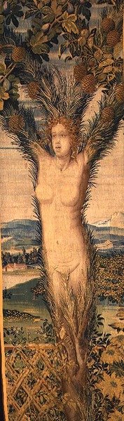 Uma de um par de tapeçarias representando Daphne e Pitys, meados do século XVI (tapeçaria) de Hans Karcher