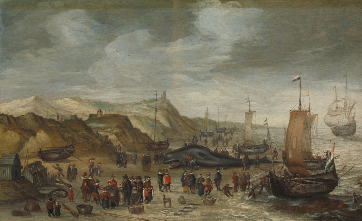 Um Cachalote Lavado na Praia em Noordwijk, 28 de Dezembro de 1614 de Hans Savery (I) (attributed to)