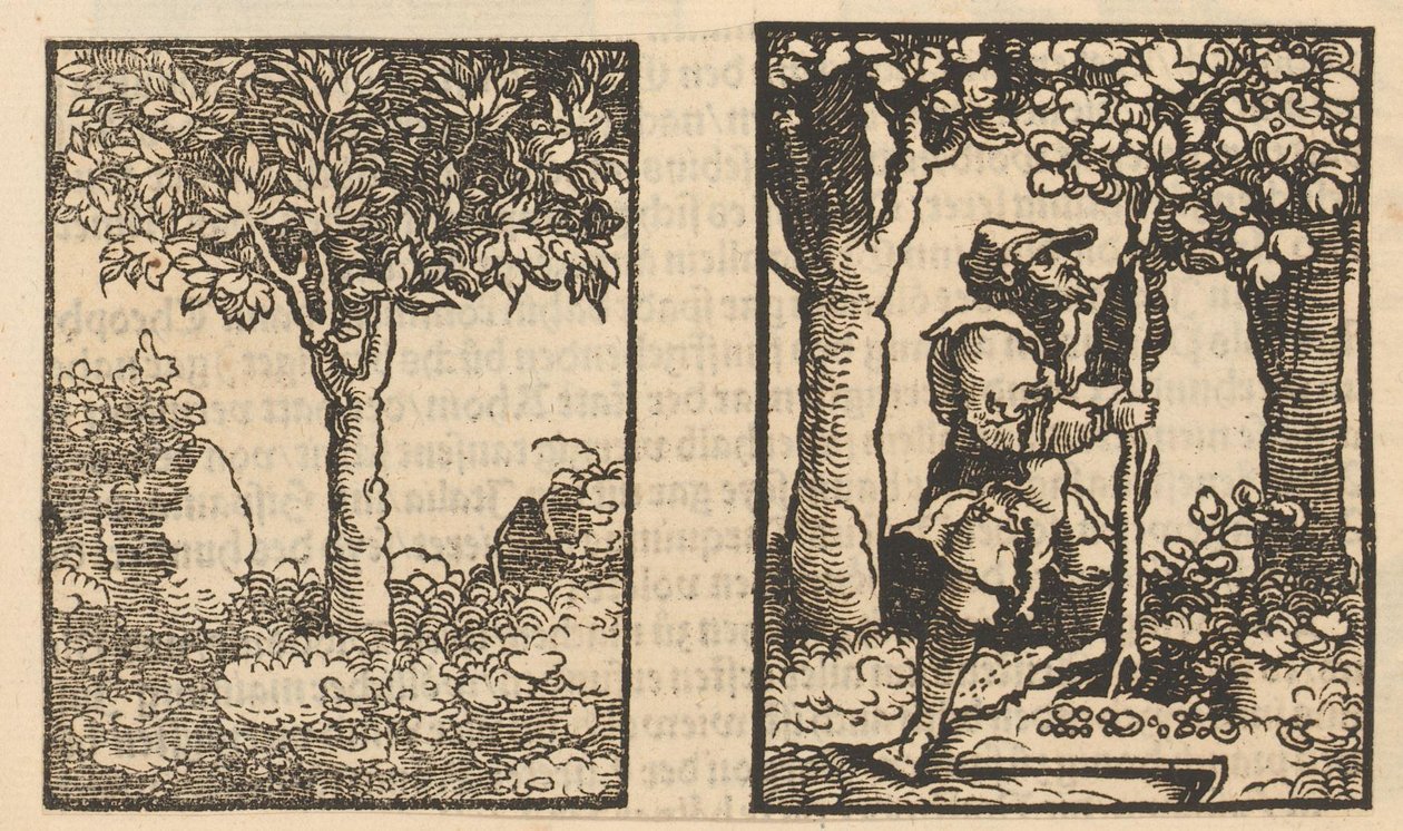 Árvore e representação de um colhedor de fruta entre árvores de Hans Schäufelein (possibly)