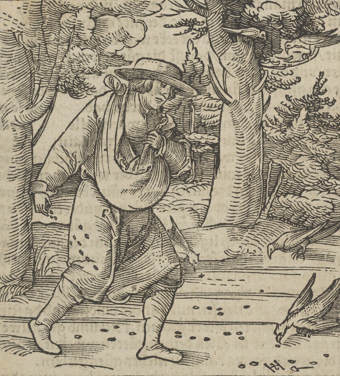 Os pássaros comendo as sementes do semeador, de Hymmelwagen auff dem, wer wol Leben..., 1517. de Hans Schäufelein the Elder