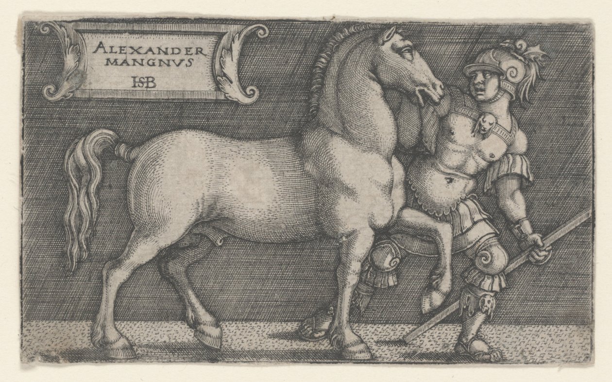 Alexandre, o Grande Bucéfalo Principal, c.1531-1550 (gravura) de Hans Sebald Beham