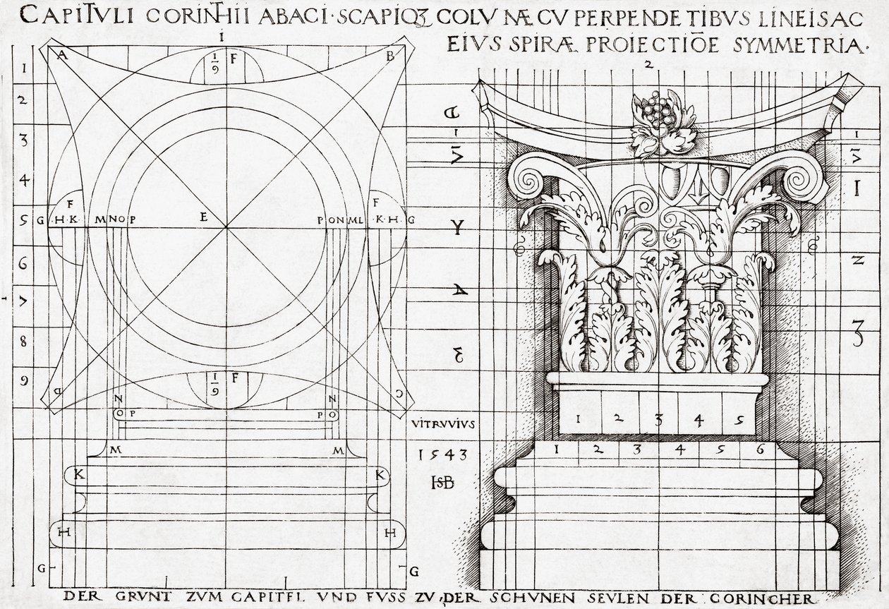 Corte transversal da capital coríntia e desenho proporcional de Hans Sebald Beham