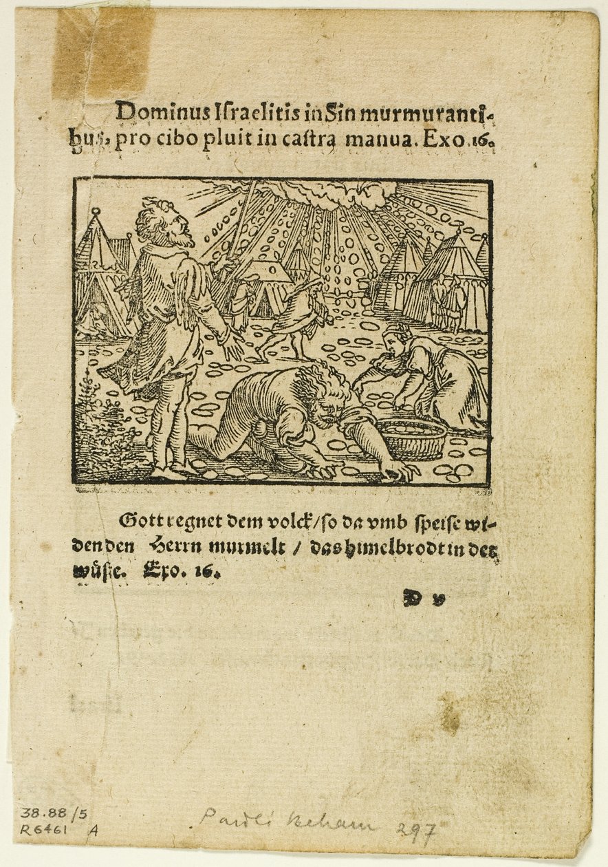 A Chuva de Maná de Biblische Historien Künstlich fürgemalt, placa cinco de Woodcuts from Books of the XVI Century de Hans Sebald Beham