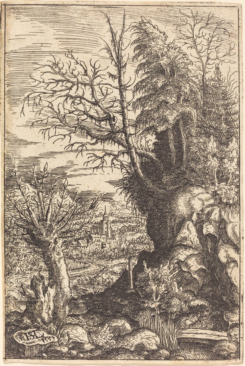 Paisagem com salgueiro, 1553. de Hans Sebald Lautensack
