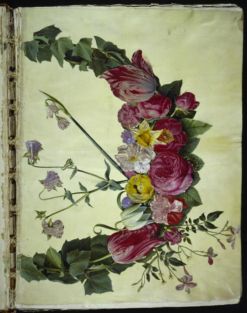 coroa de flores de Hans Simon Holtzbecker