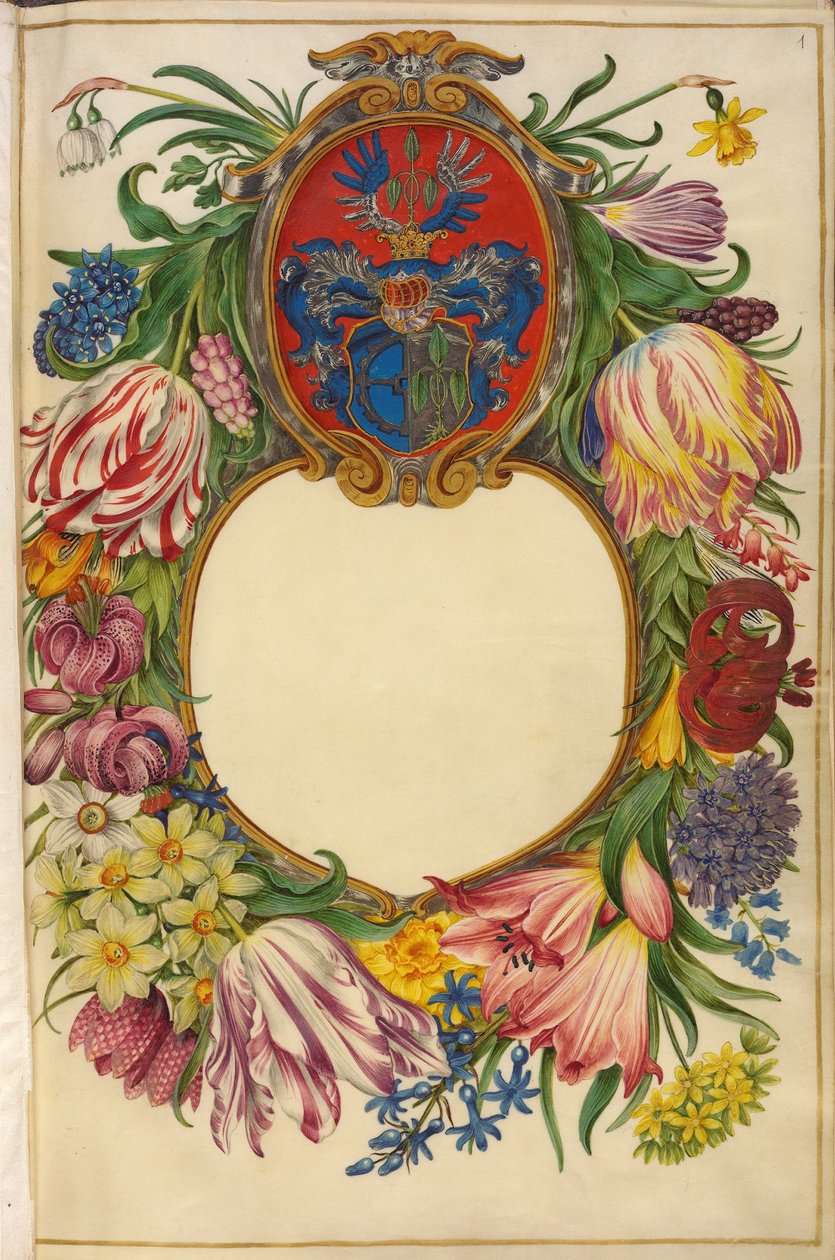 Alemão: Página de título Moller-Florilegium (1) de Hans Simon Holtzbecker