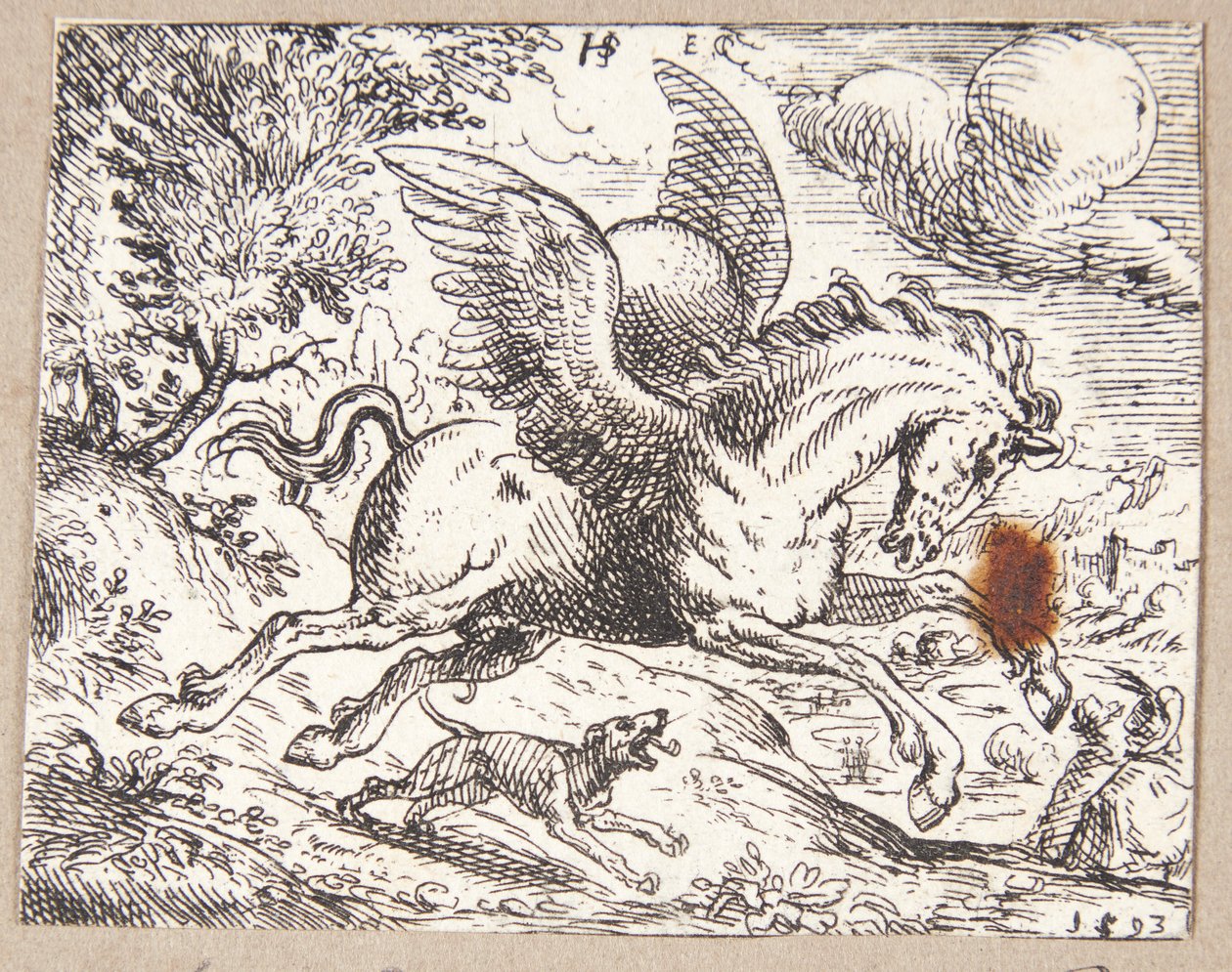 Pegasus de Hans Strohmayer