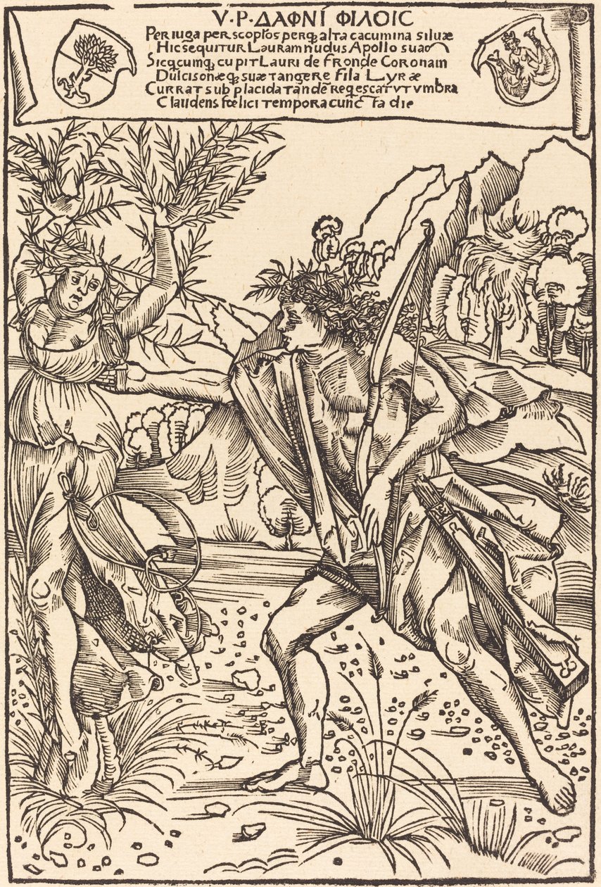 Apolo e Dafne de Hans Süss von Kulmbach