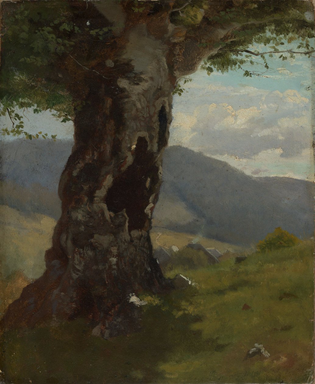 Tronco de árvore antigo com vista para o vale de Hans Thoma
