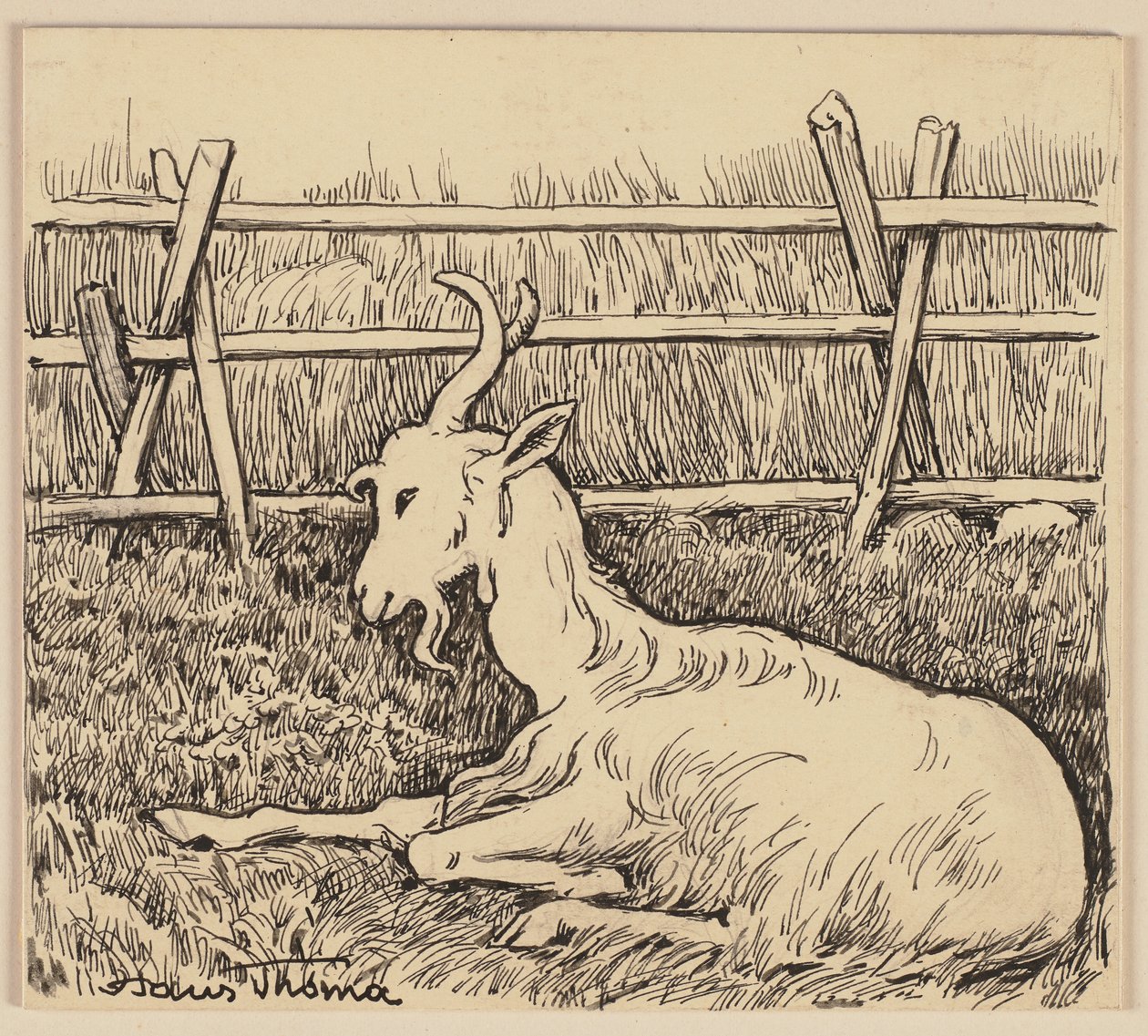 Desenho para a cartilha: Cabra de Hans Thoma