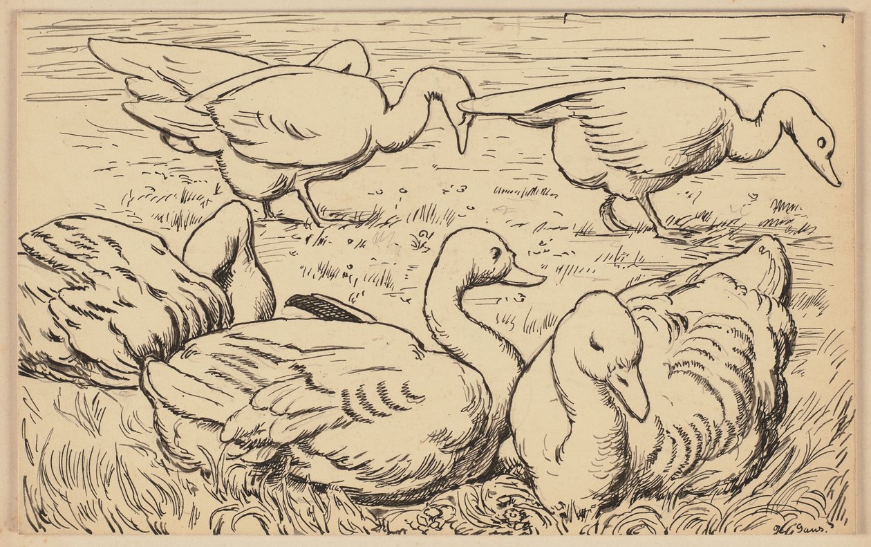 Ilustração para o livro de introdução: Ganso de Hans Thoma