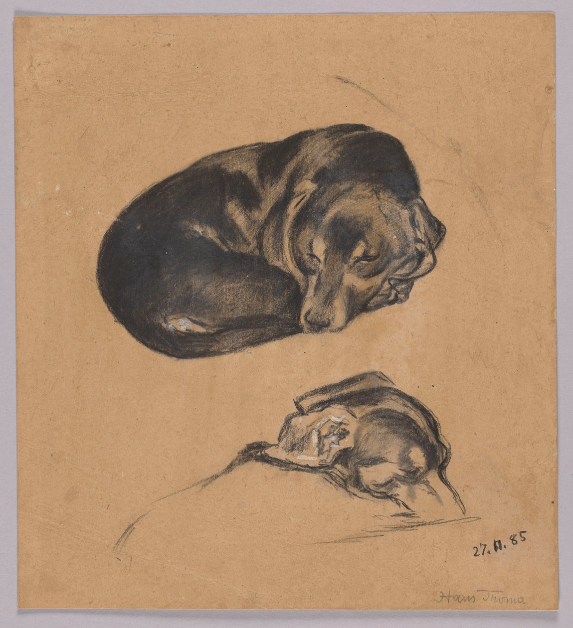 Zwei Studien eines schlafenden Dackels de Hans Thoma