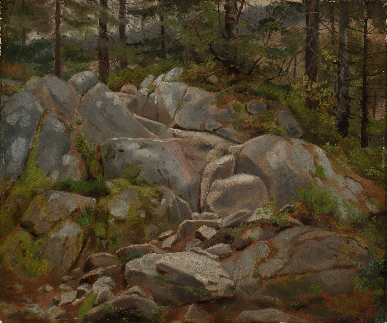 Blocos de rocha com troncos de abeto de Hans Thoma