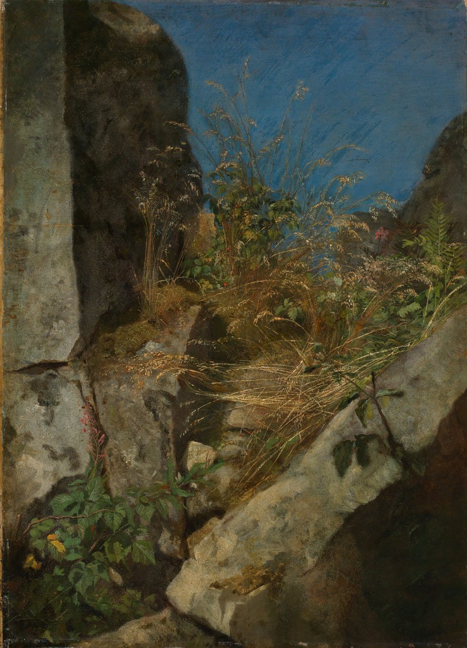 Ervas entre as rochas de Hans Thoma