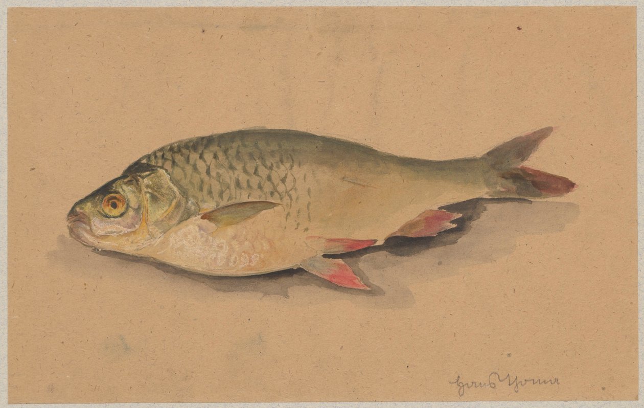 Peixe de Hans Thoma