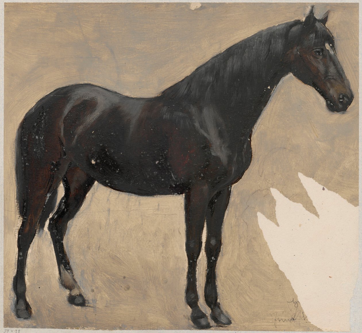 Estudo do cavalo de Hans Thoma