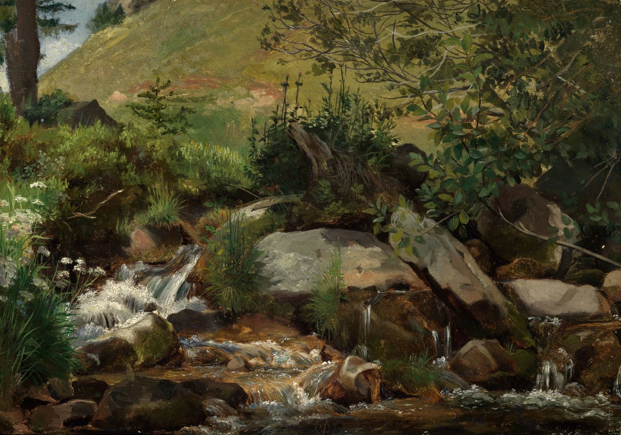 Prado com arbustos e ervas de Hans Thoma