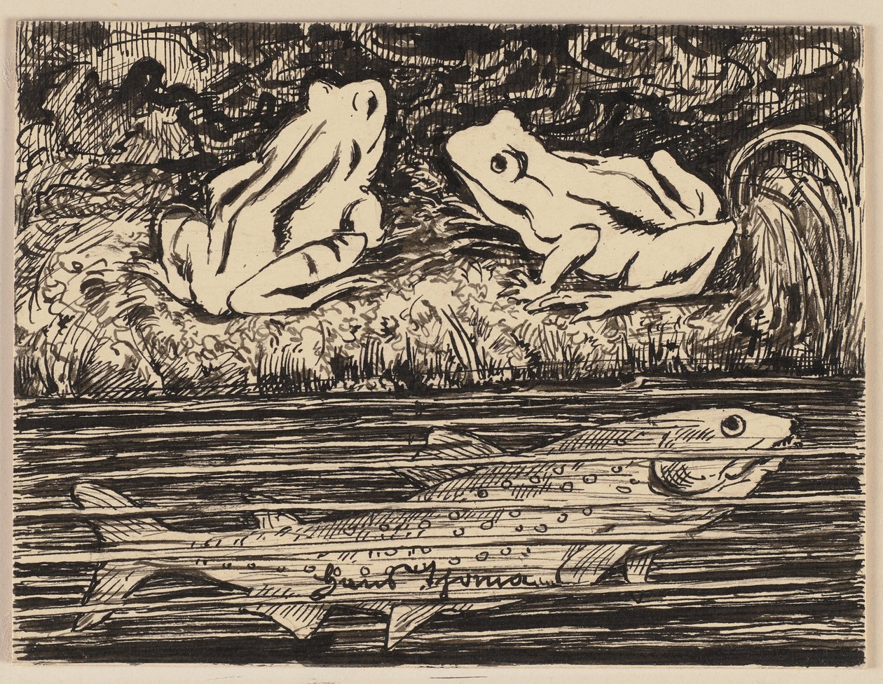 Desenho para uma cartilha: rã de Hans Thoma