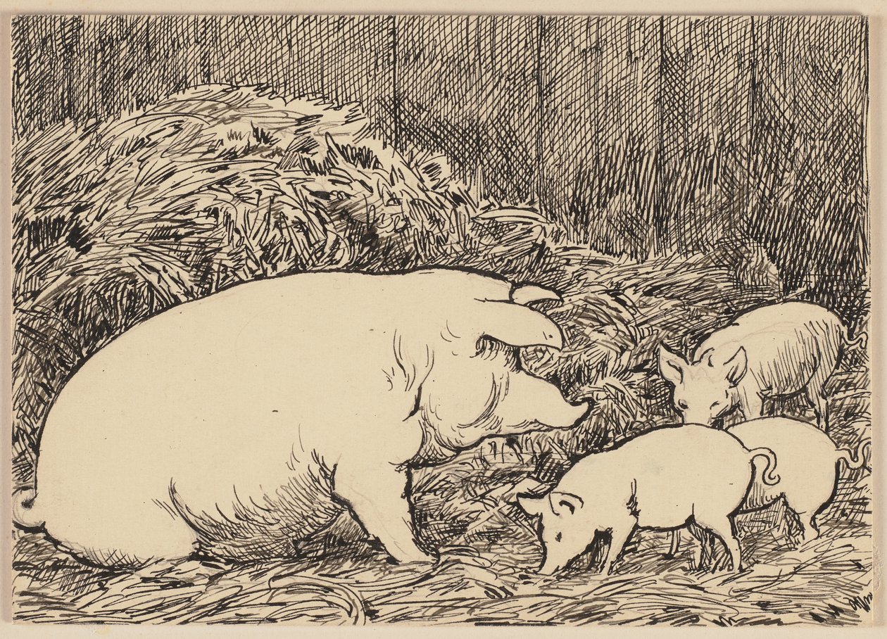 Ilustração do manual: Porco de Hans Thoma