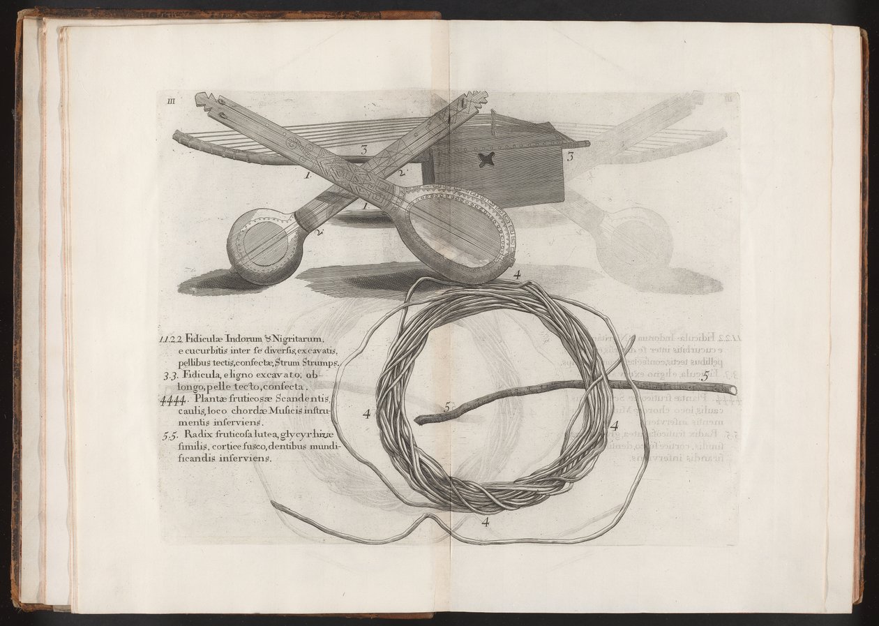 Ilustração da viagem para a ilha Madera, Barbados ... Vol.2, 1815 de Hans after Sloane