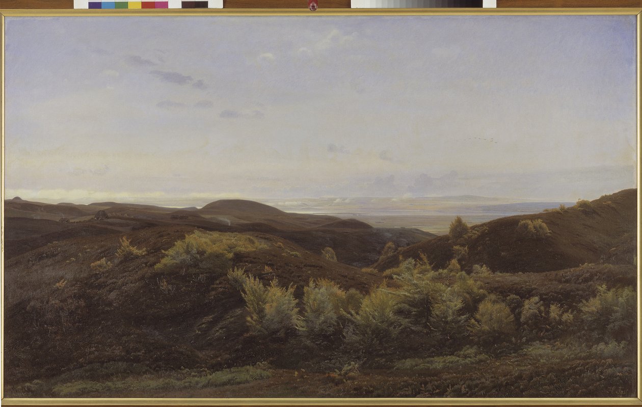 Heather Hills perto de Rye, Jutlândia de Harald Foss