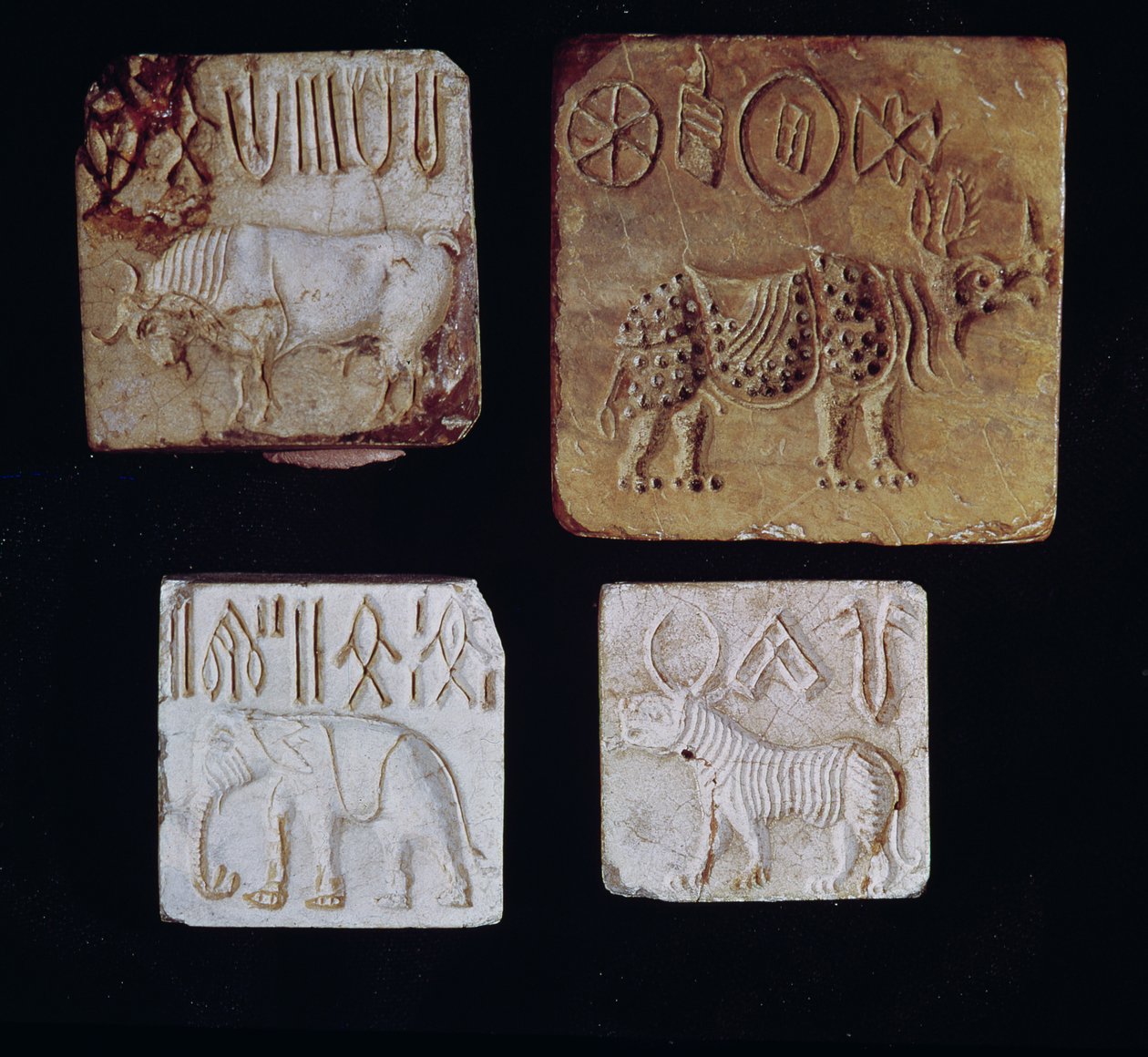 Quatro selos representando um touro, um rinoceronte, um elefante e um tigre com símbolos pictográficos, do vale do Indo, Paquistão, 3000-1500 aC de Harappan