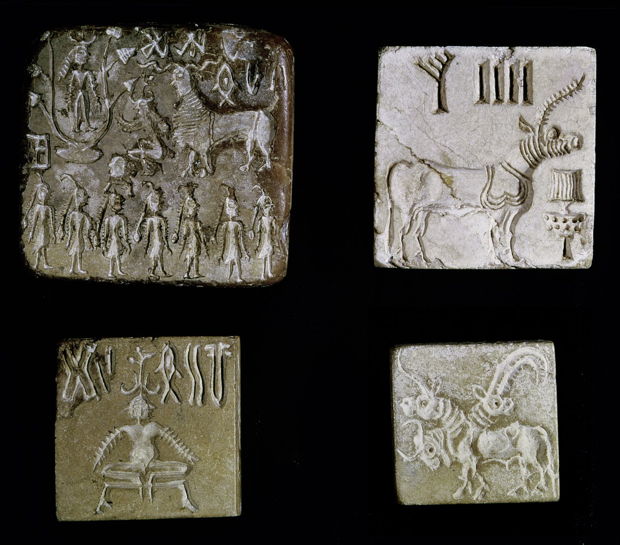 Quatro selos representando animais mitológicos, de Mohenjo-Daro, Vale do Indo, Paquistão, 3000-1500 aC de Harappan