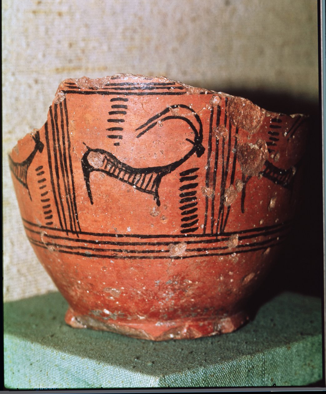 Fragmento de um vaso representando um íbex, de Mohenjo-Daro, Vale do Indo, Paquistão (cerâmica) de Harappan