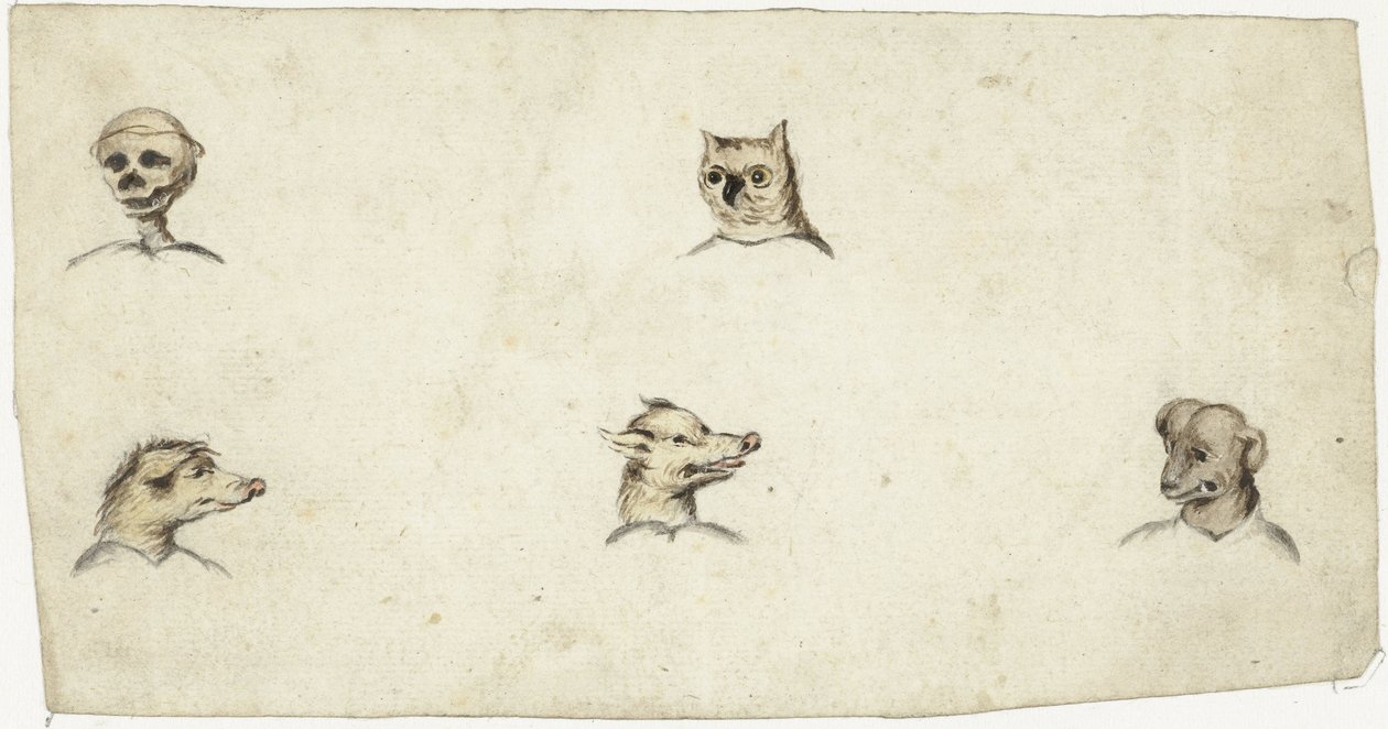 Cabeças de quatro animais e um esqueleto de Harmen ter Borch