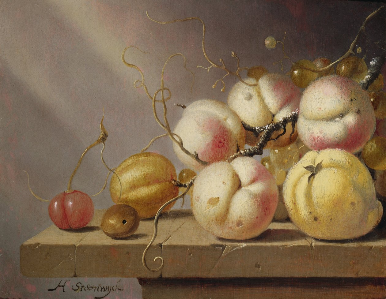 Ainda vida de fruta em uma borda (painel) de Harmen van Steenwyck