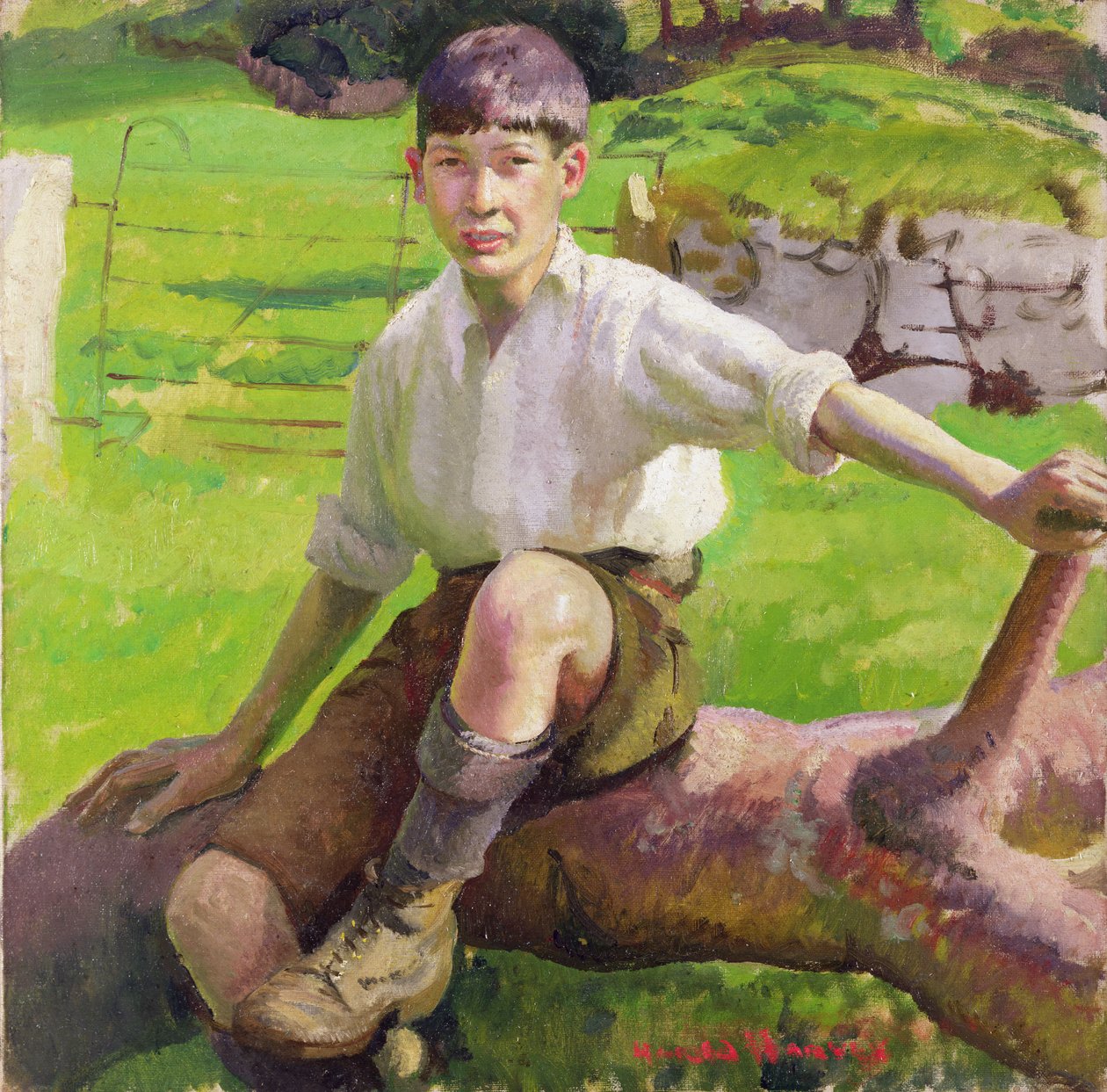 Um Cornish Boy (óleo sobre tela) de Harold Harvey