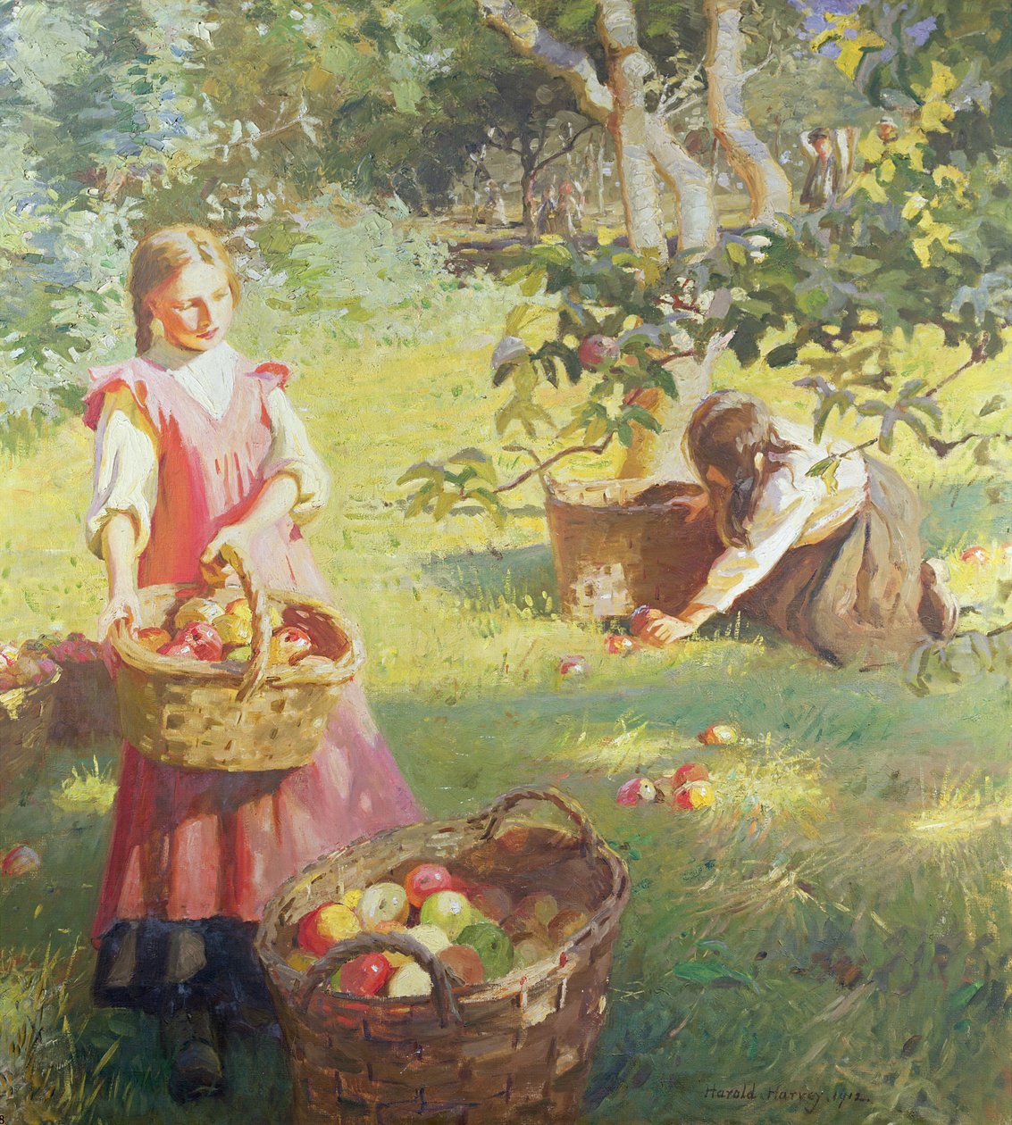Maçãs de Harold Harvey