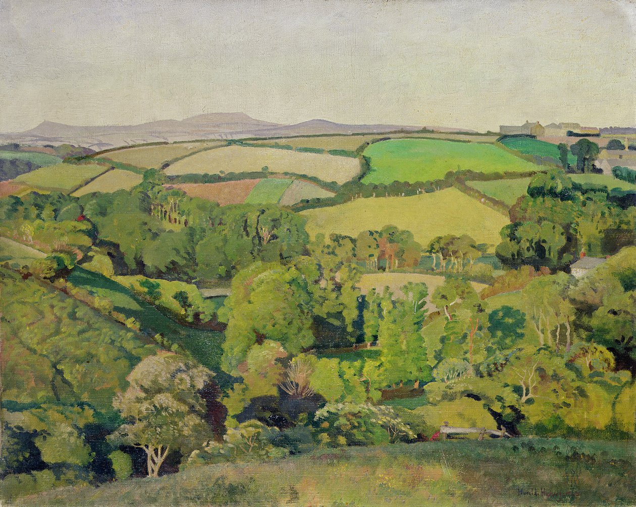 Drift Valley (óleo sobre tela) de Harold Harvey