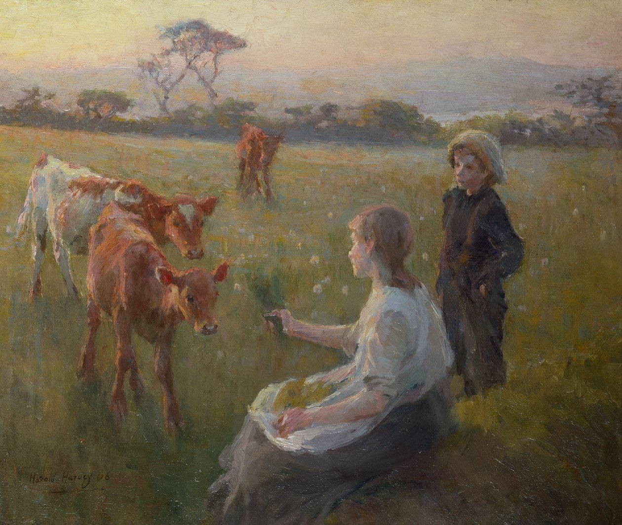 Alimentar os vitelos de Harold Harvey