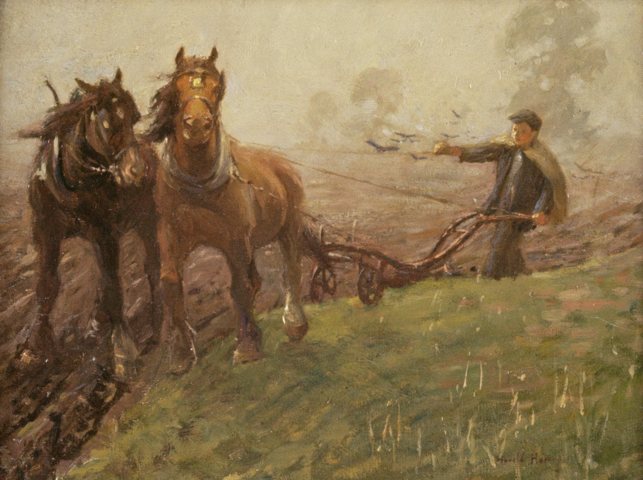 Homem arando um campo de Harold Harvey