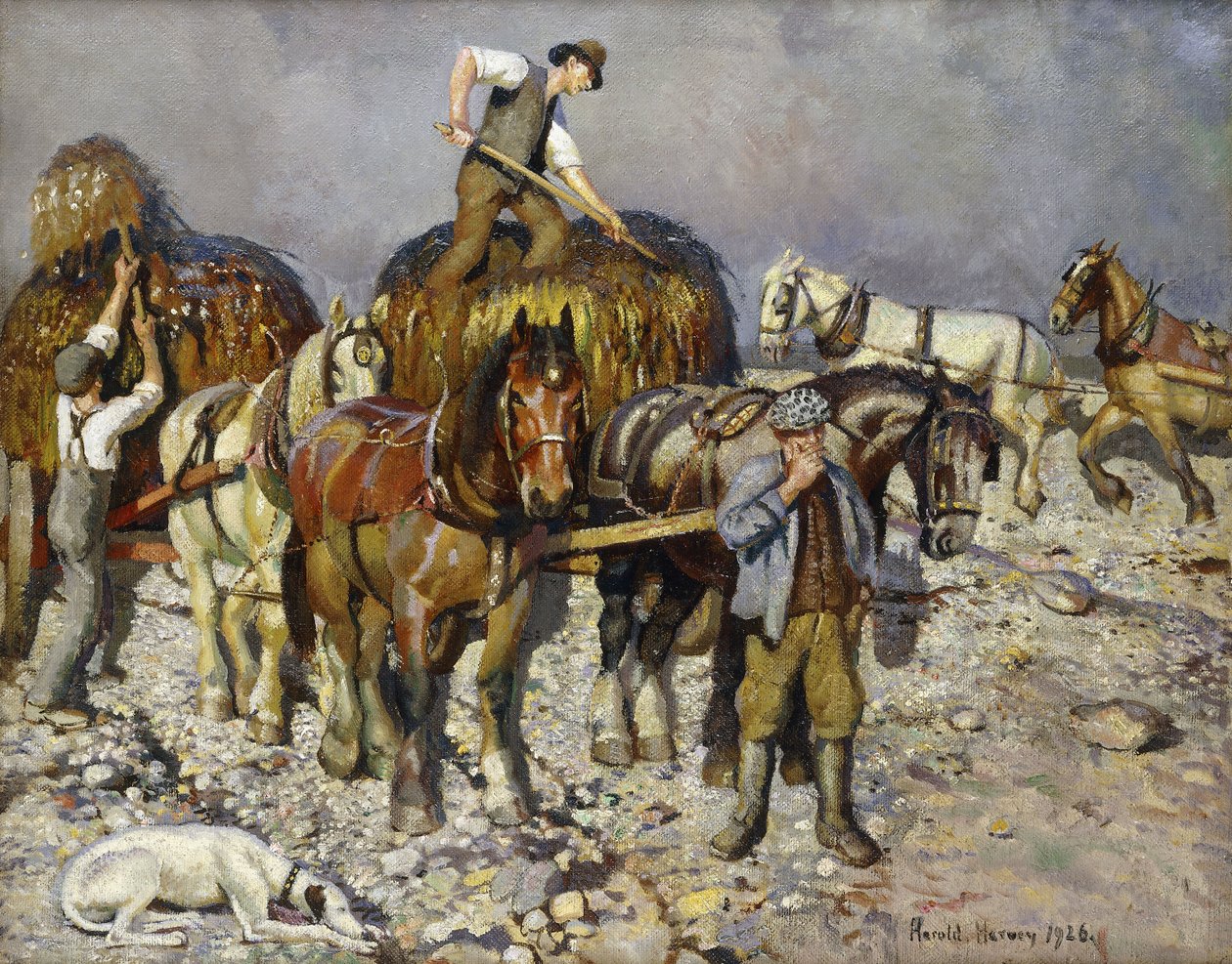 Coletores de algas de Harold Harvey