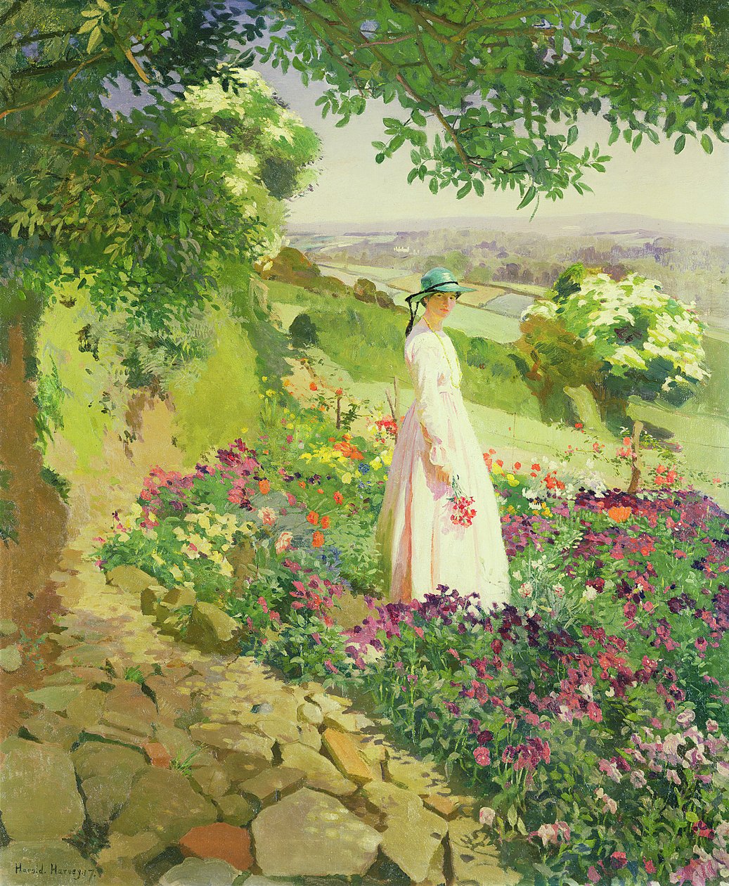 Verão de Harold Harvey