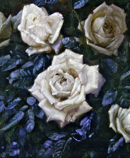 White Roses (óleo sobre tela) de Harold Oakley