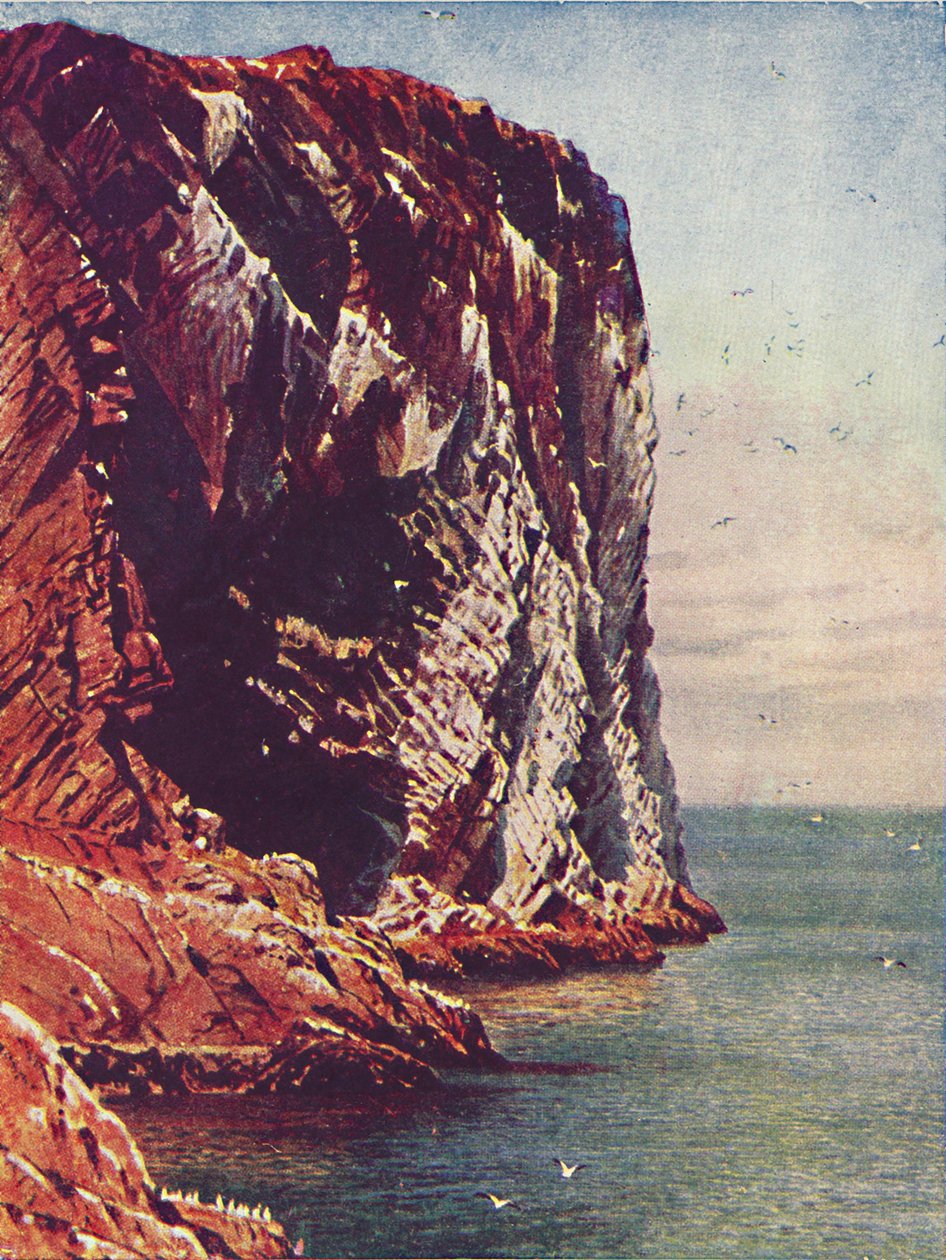 Bass Rock, 1910 de Harold Sutton Palmer