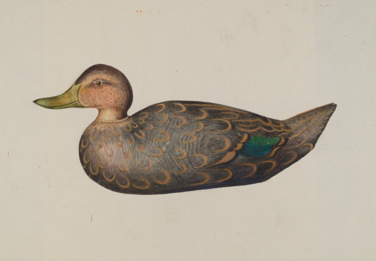 Pato Isca de Harriette Gale