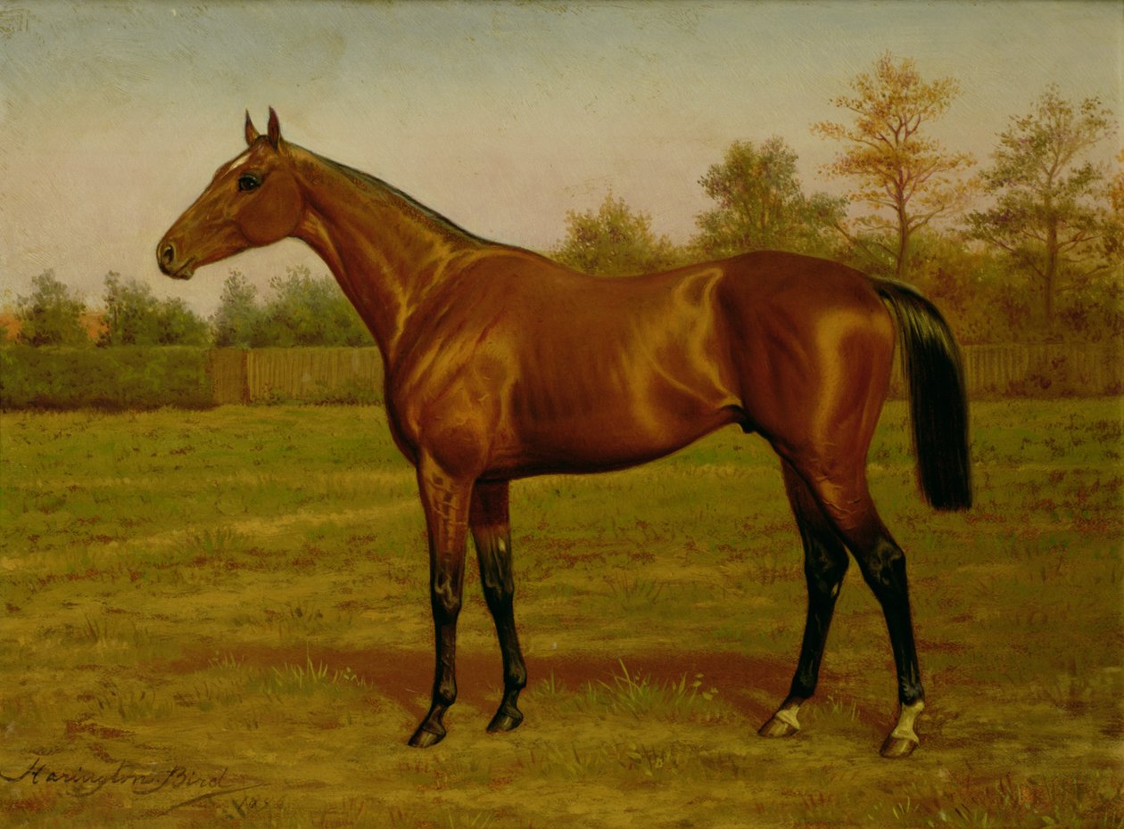 Isinglass, coroa tripla, 1893 de Harrington Bird