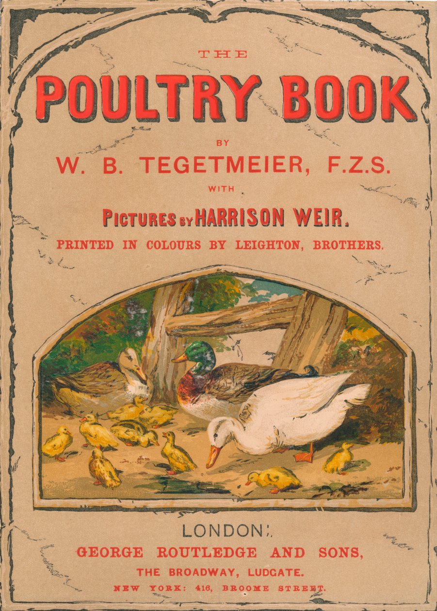 O Livro das Aves, 1867. de Harrison Weir