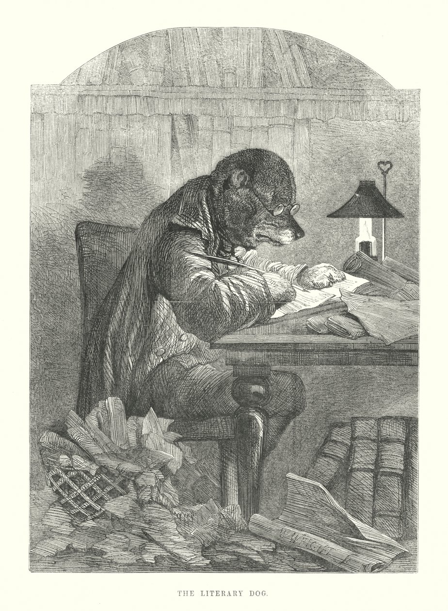 Cães engraçados: O cão literário (gravura) de Harrison William Weir
