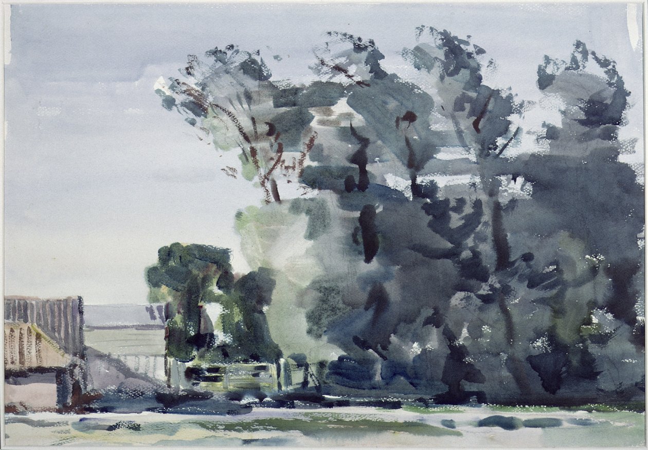 Árvores - amanhecer de Harry Becker