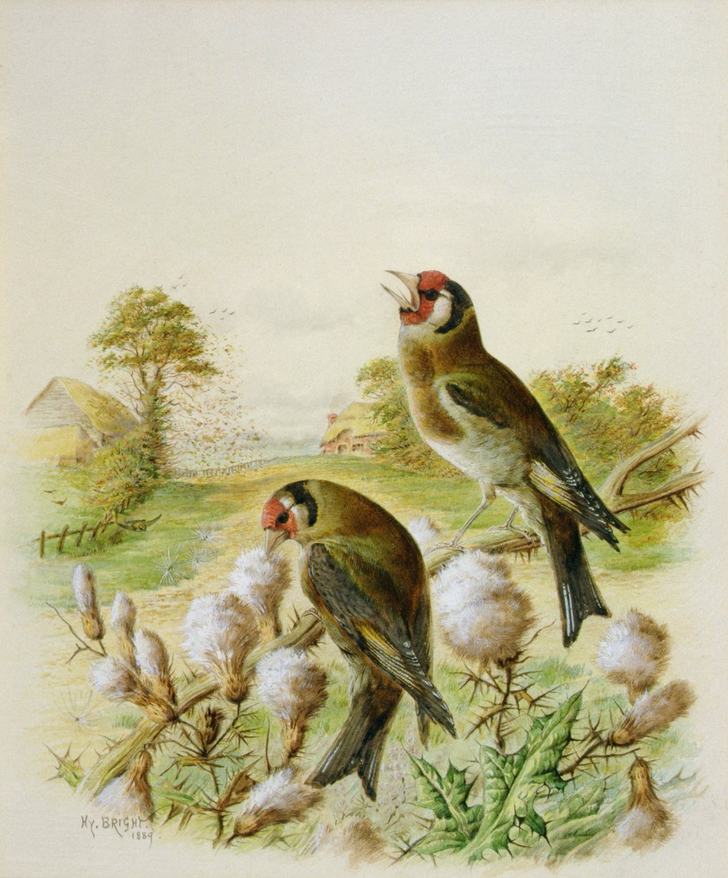 Pintassilgos em cardos, 1889 de Harry Bright