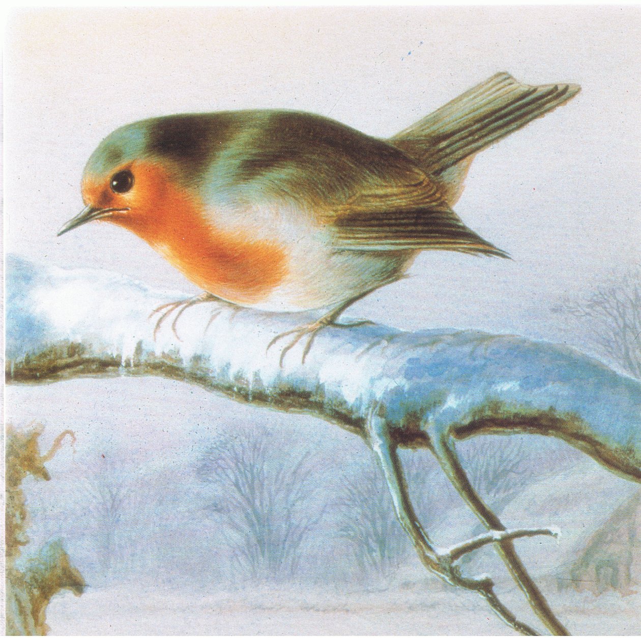 Robin, cartão de natal da cor de Harry Bright