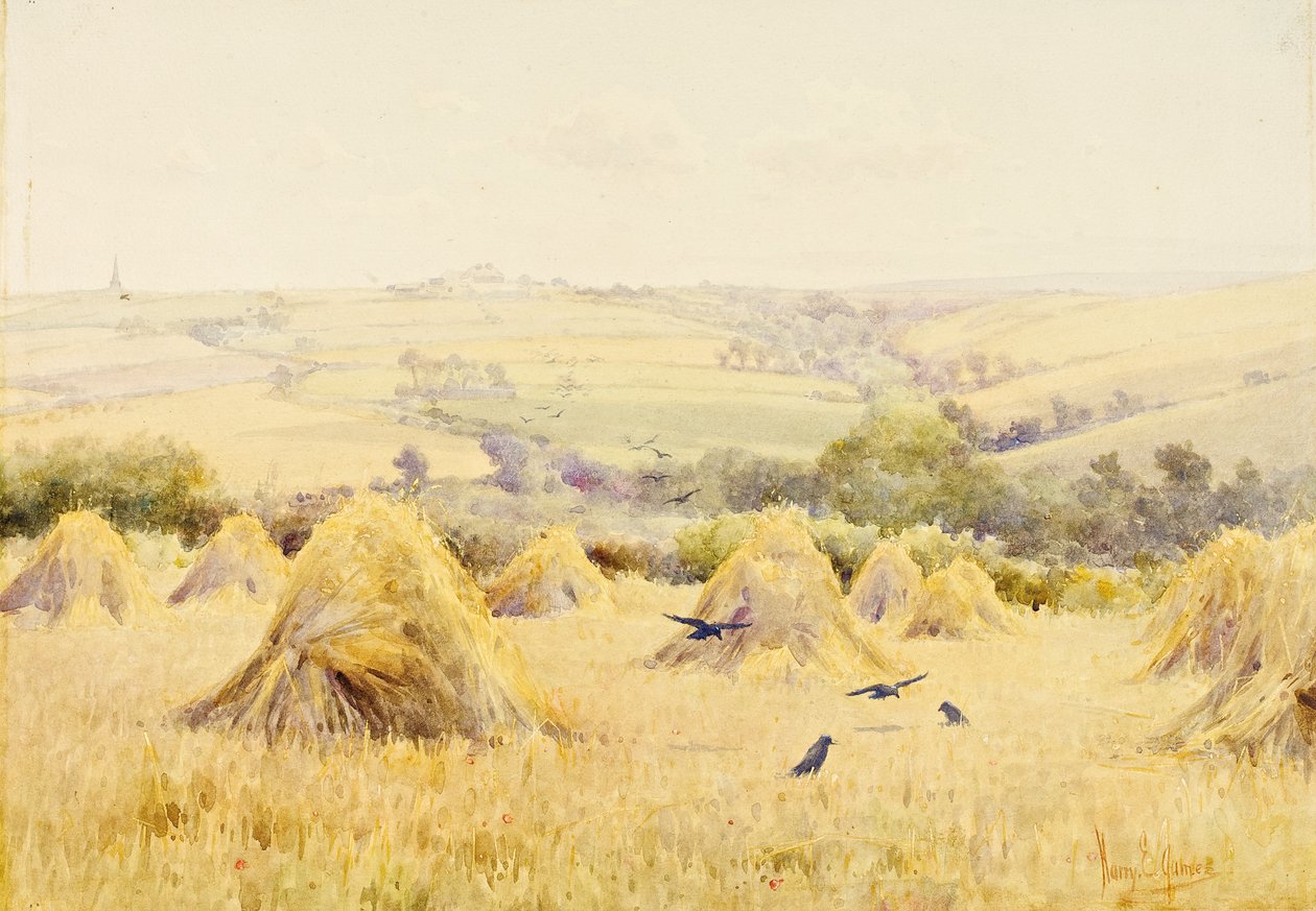 Vista, de, um, cornfield, com, Rooks de Harry E. James