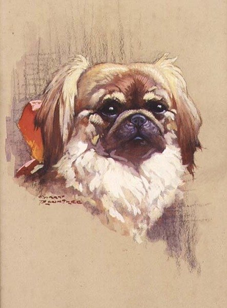 Fita Vermelha de Harry Rountree